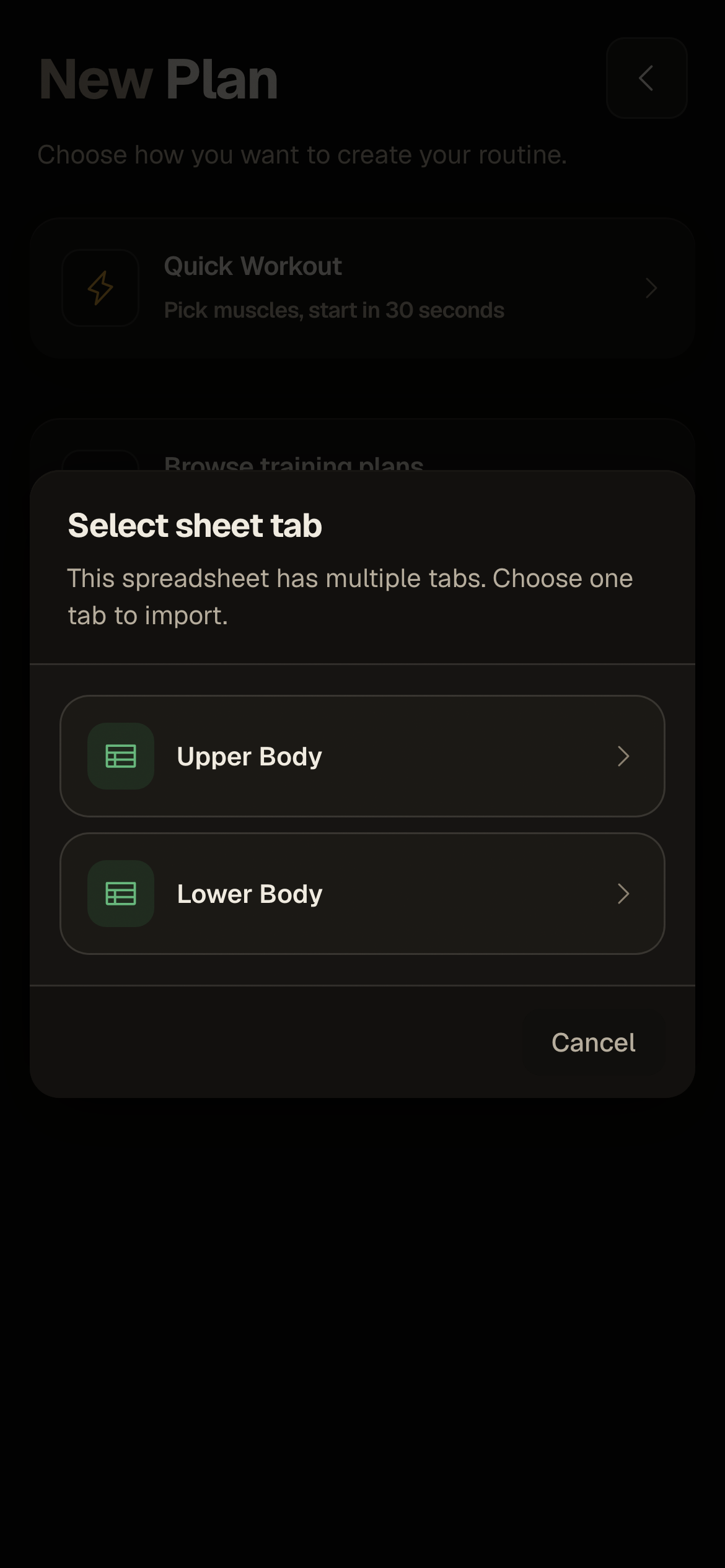 IronFlow Google Sheets import tab selector